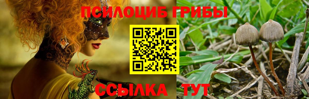 Корсаков  Псилоцибиновые грибы GOLDEN TEACHER  Псилоцибиновые грибы мухоморы  Вход с VPN 